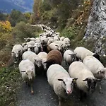 Grand-combin