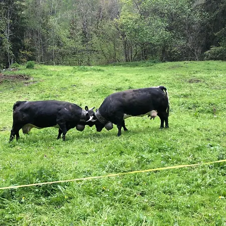 Dortoir De - Agritourisme * Fionnay