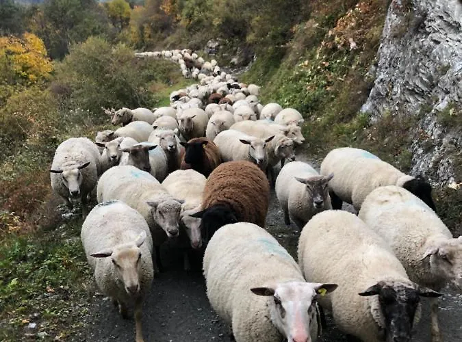 Dortoir De - Agritourisme