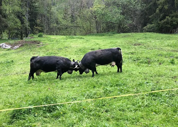 Dortoir De - Agritourisme * Fionnay